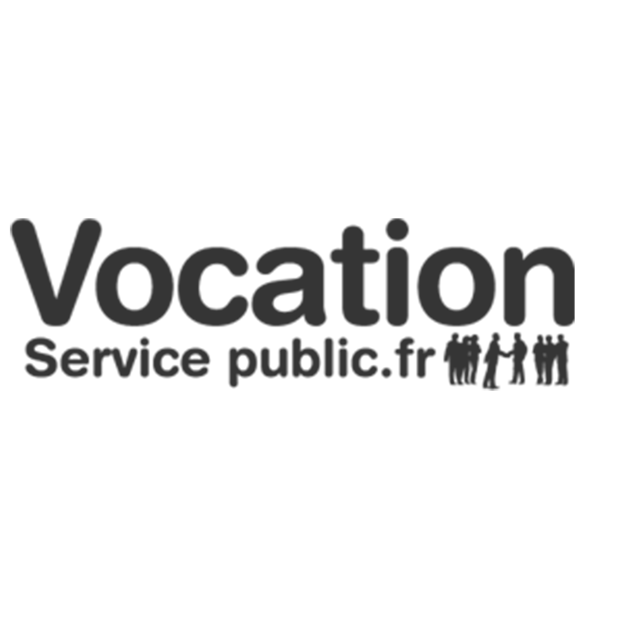 Logo Vocation Public Gris