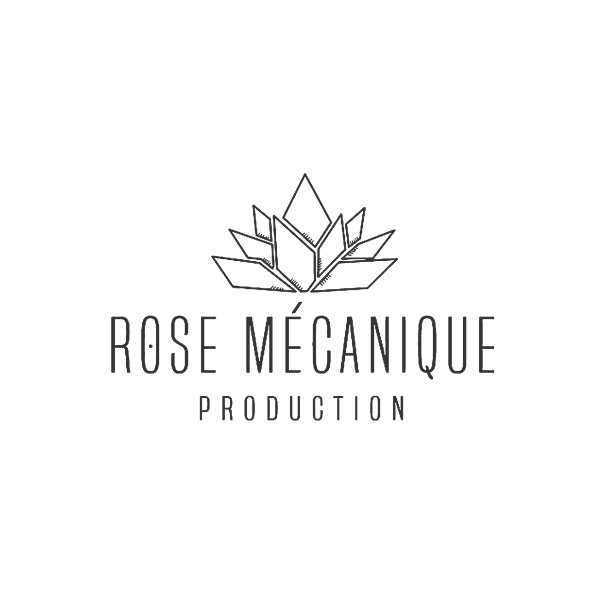 Rose Mécanique Production - Gris